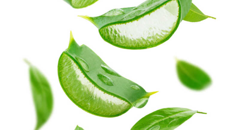 The appeal of the aloe peel