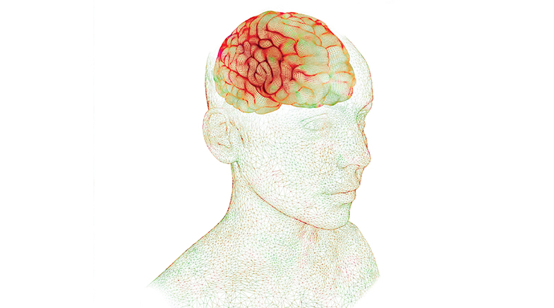 Inside the cell&#039;s calcium cycle
