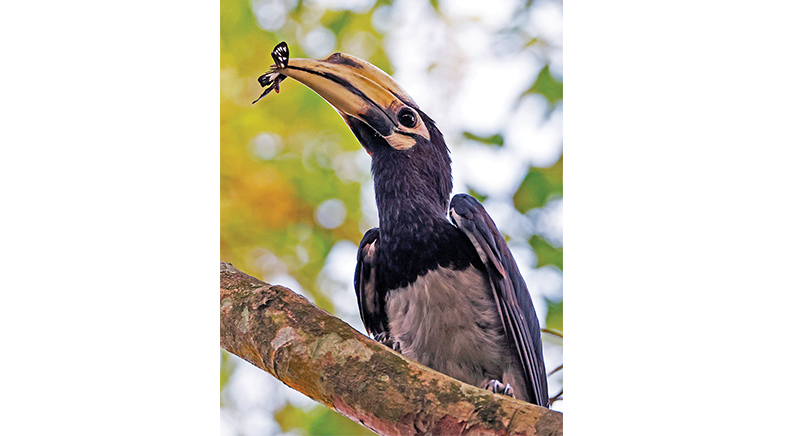 With flying colours With flying colours