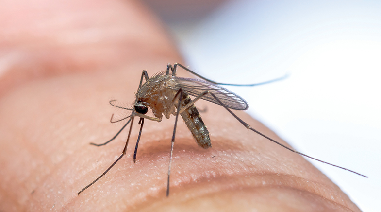 Getting the sting out of the bite