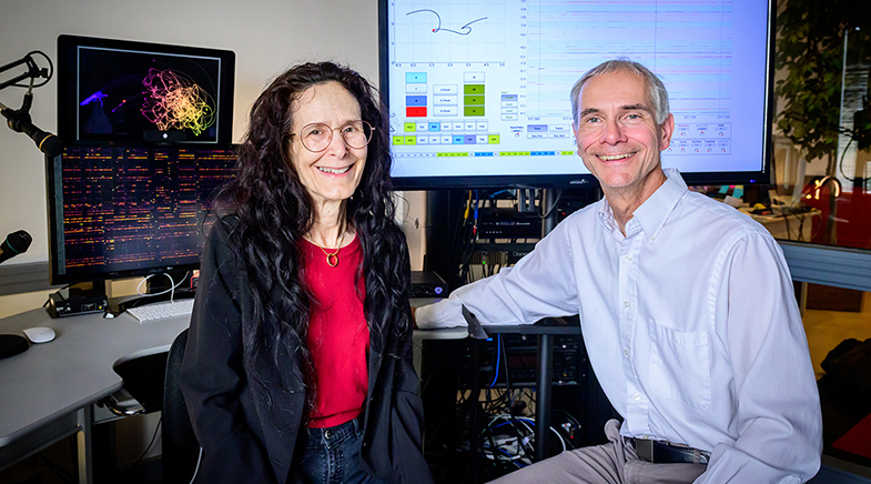 Hearing proteins fold