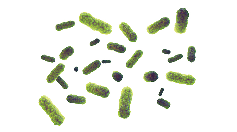 Slim chances Slim chances