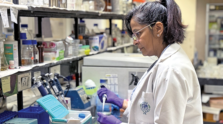 To tame a virus To tame a virus