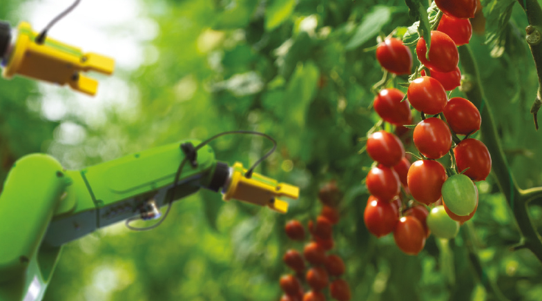 Agriculture 4.0... and counting