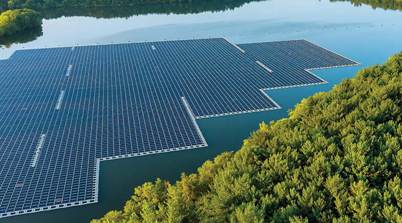 Growing green Growing green