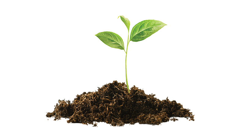 Care is key Care is key