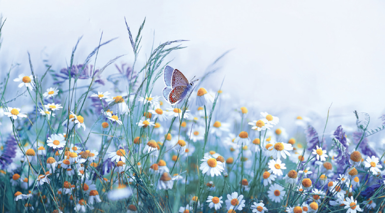 A world in full bloom