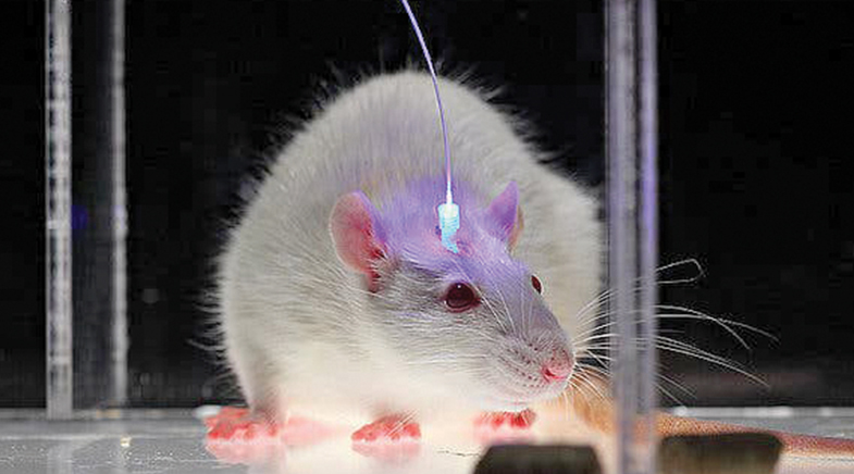 Eyes on the light Eyes on the light