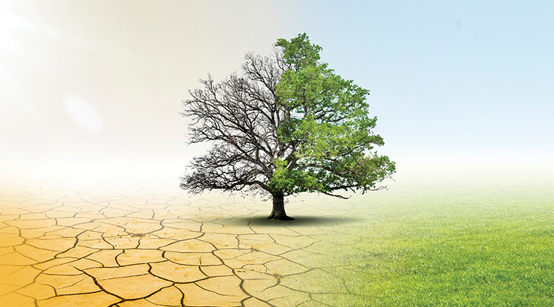 Blame it on Niño Blame it on Niño