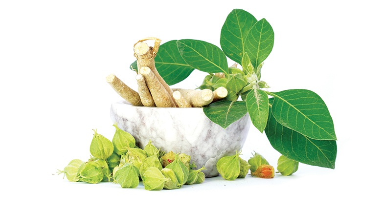 Managing cancer: the new regimen