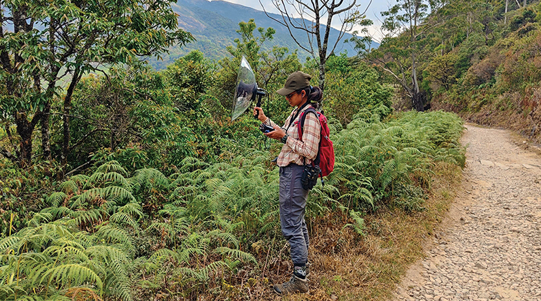 If birds  could talk...