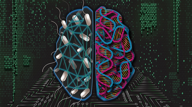 Inside the biology maze