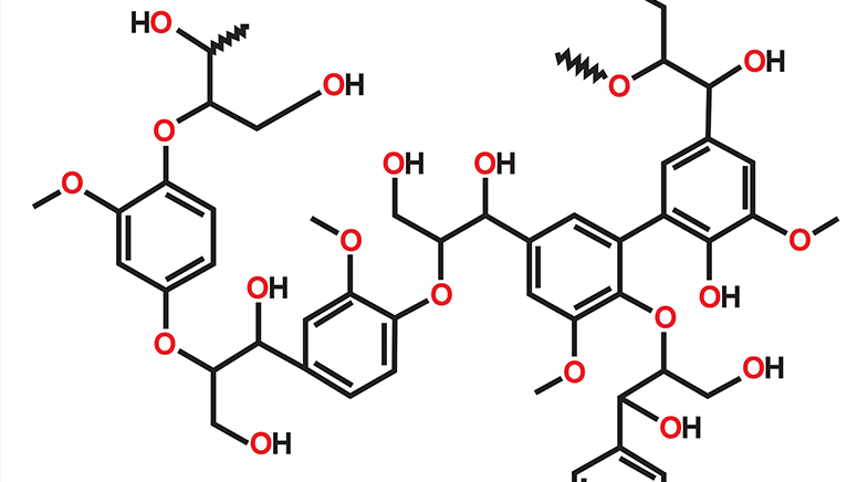 Focus on lignin to help it decay