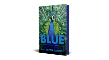 In search of blue In search of blue