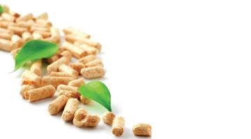 These biofuels keep the engines revving These biofuels keep the engines revving