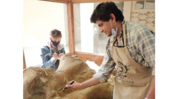 In Kashmir, these fossils reveal a butchery In Kashmir, these fossils reveal a butchery