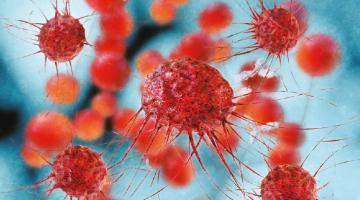 Fighting cancer spread