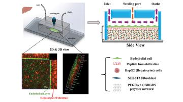 Chip to fight disease Chip to fight disease