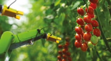 Agriculture 4.0... and counting Agriculture 4.0... and counting