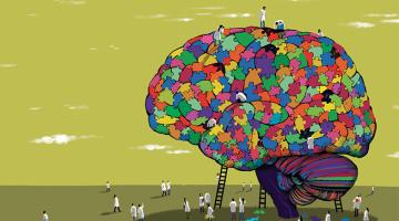 Getting to know the brain Getting to know the brain