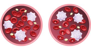 Blood, sweat and cures Blood, sweat and cures