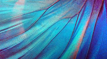 Colour me amazed! Colour me amazed!