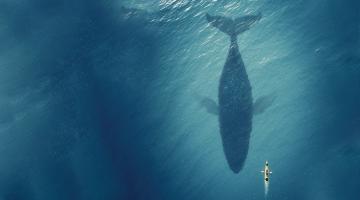 When small is big When small is big
