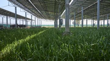 The sun shines on solar farming The sun shines on solar farming
