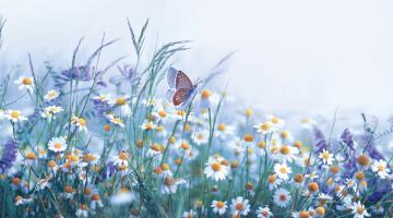 A world in full bloom A world in full bloom