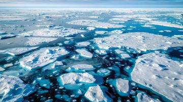 A grim climate reality