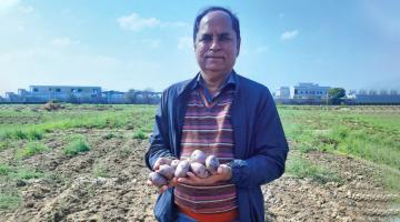 A nutrient-rich harvest A nutrient-rich harvest