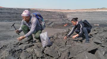 The ancient stories that amber fossils reveal The ancient stories that amber fossils reveal