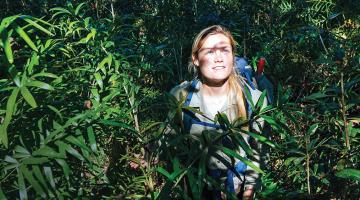 A rich harvest, naturally