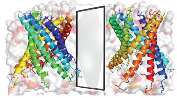 Pore-forming to the fore