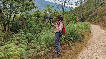 If birds  could talk...