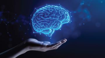 How the brain works How the brain works