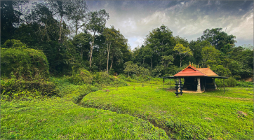 A Kerala village shows the way A Kerala village shows the way