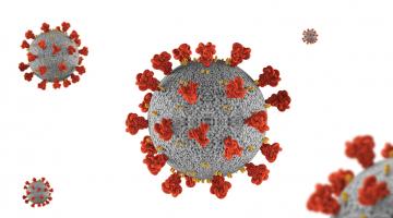 The risk of recombination The risk of recombination
