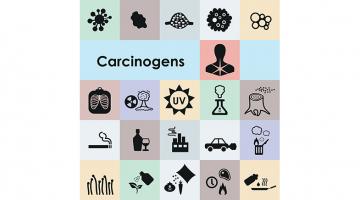 Spotting carcinogens, AI-style