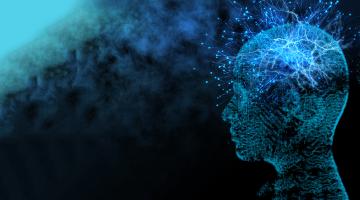 The golden age of neuroscience The golden age of neuroscience